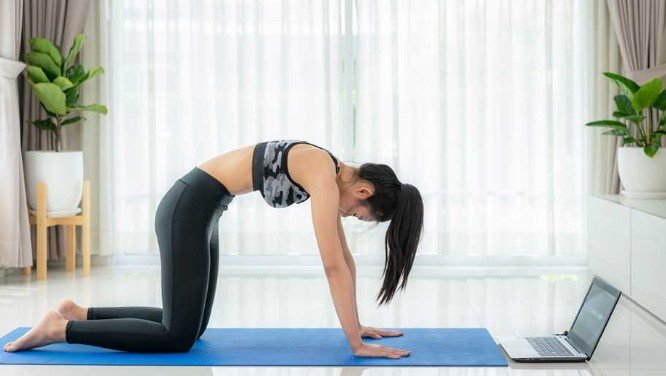 Cat Camel Exercises For Lower Back Pain
