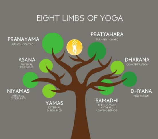 best online yoga